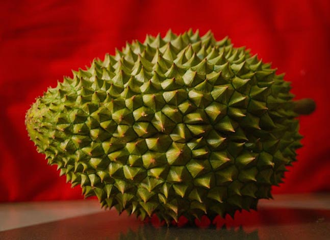durian on red background