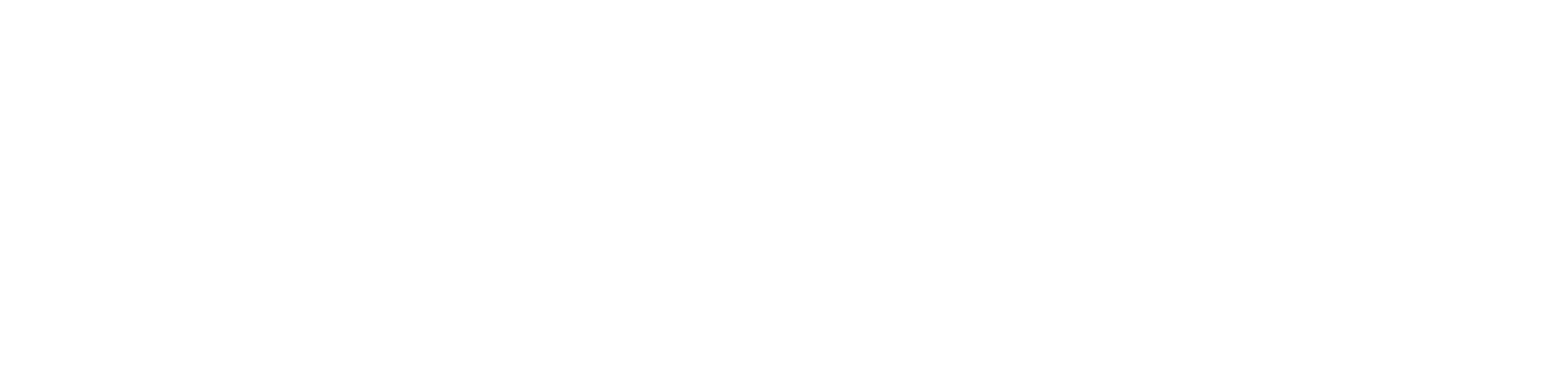 Davao Women logo white version